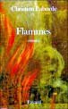 flammes_mini