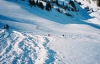 superbe_neige